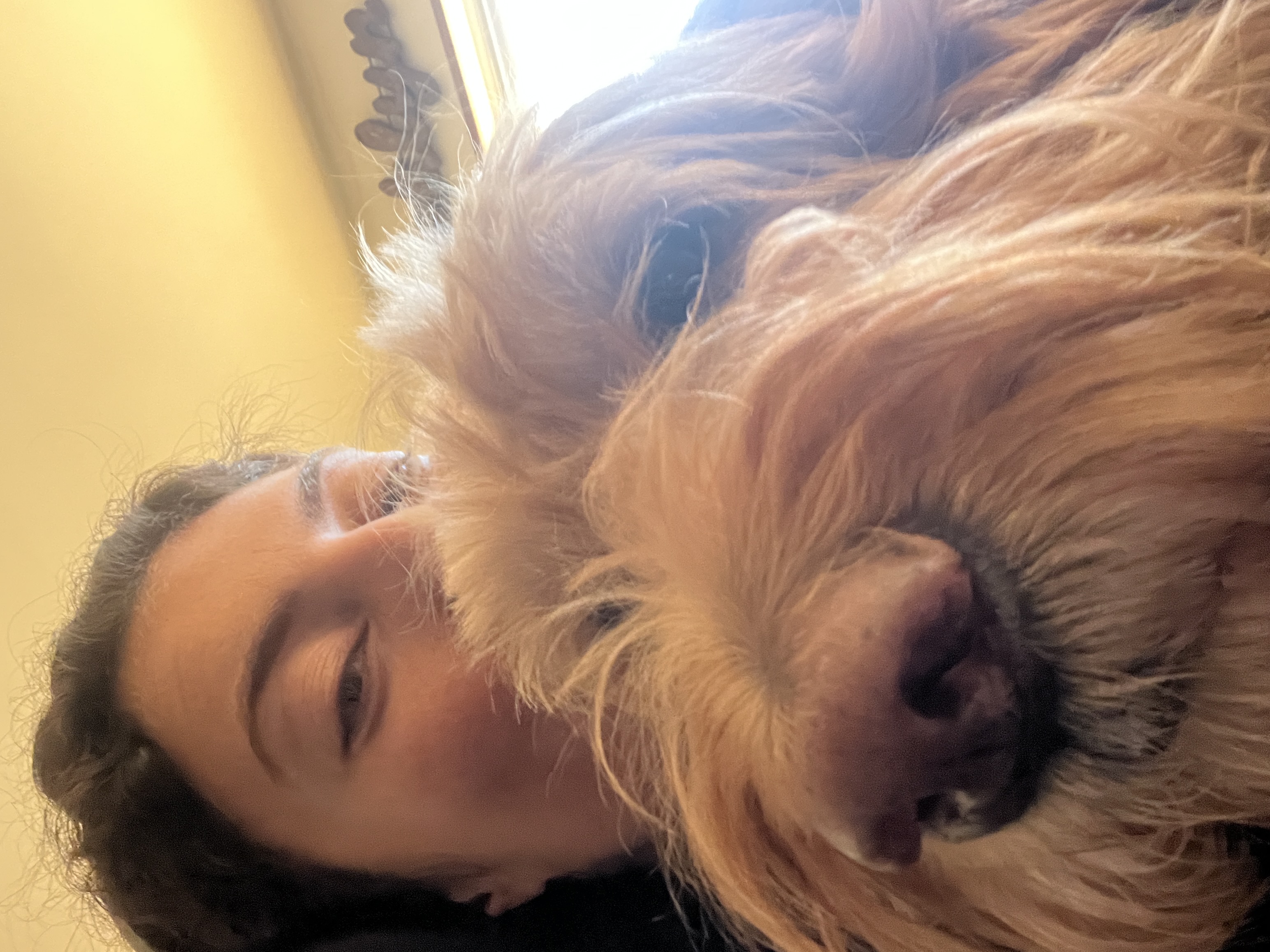 Not My Dog